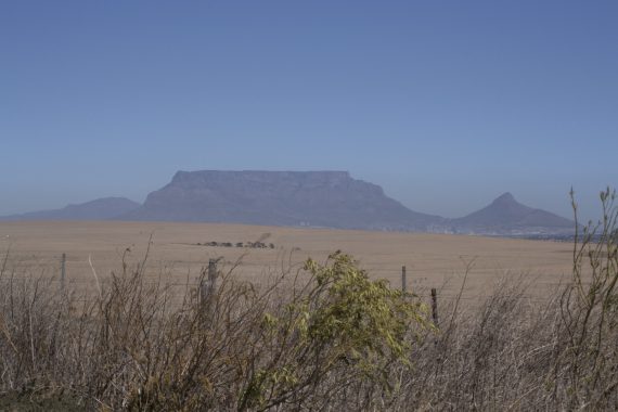 Table Mountain in 2018